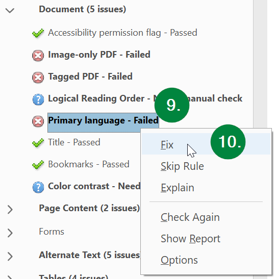 Screen capture of Adobe Acrobat, showing language in accessibility check results.