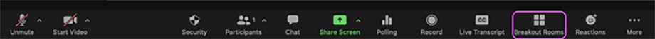 screenshot of the bottom menu in Zoom, with a box around the icon for Breakout Rooms