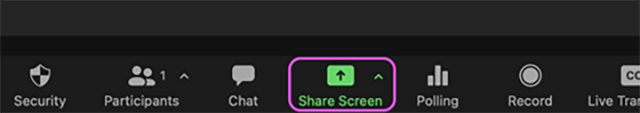 Screenshot of the Zoom tool bar at the bottom of the application, with a square around the Share Screen button