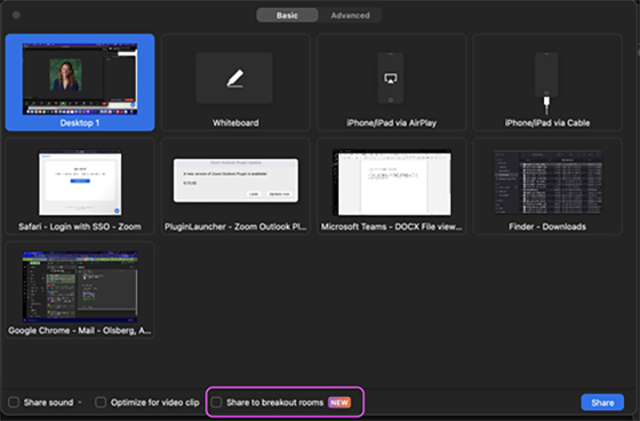 Screenshot of Zoom share screen window selection with a square round Share to breakout rooms button at the bottom