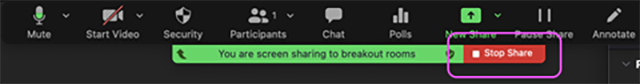 Screenshot of Zoom control bar at bottom of screen with square around Stop Share button